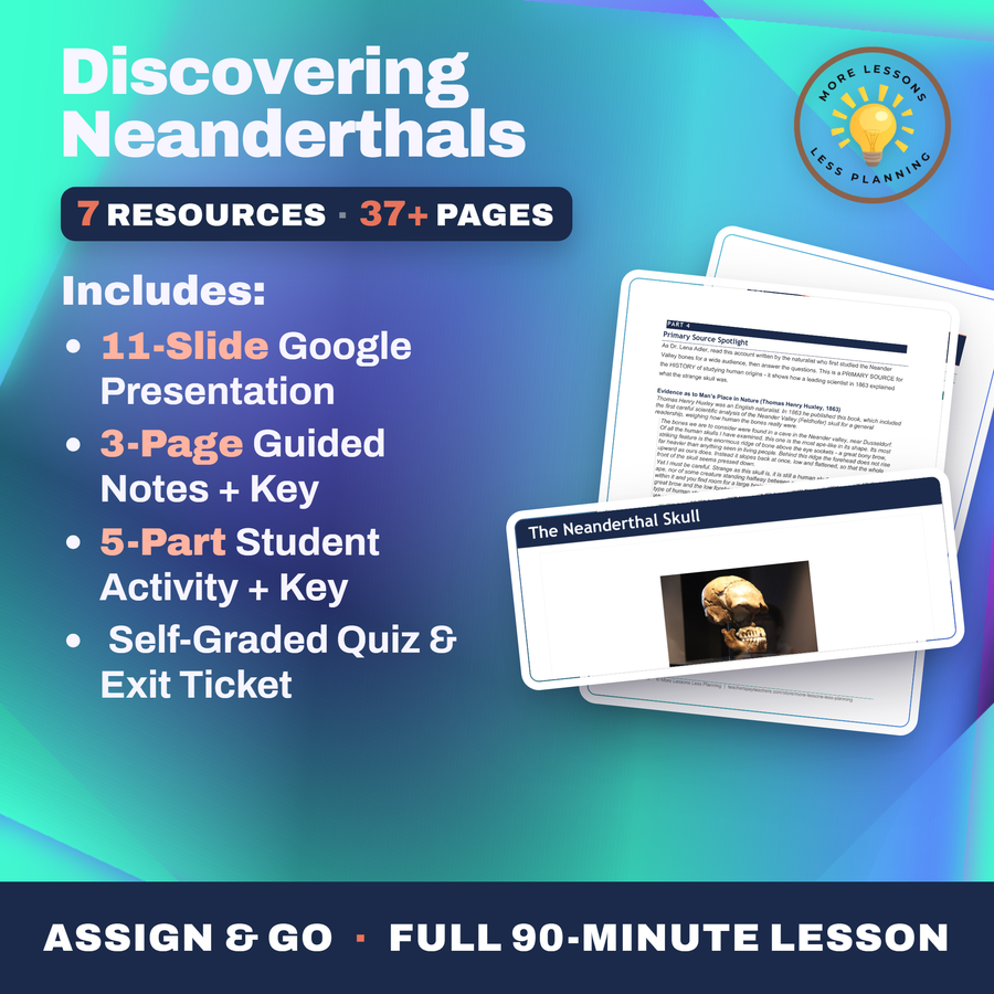 Discovering Neanderthals cover