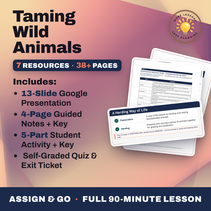 Taming Wild Animals cover